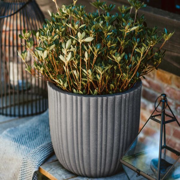 Capi Munanmuotoinen kukkalaatikko Urban Tube 35x34 cm tummanharmaa