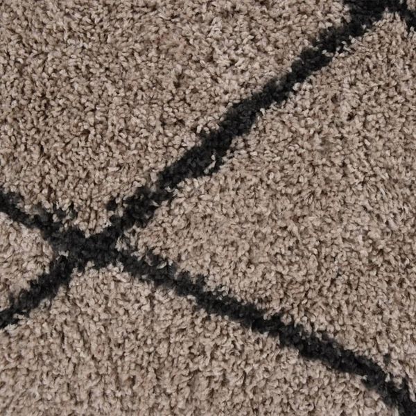 vidaXL P&ouml;rr&ouml;matto korkeanukkainen beige ja antrasiitti &phi;120 cm