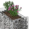 vidaXL Gabion Kohotettu Peti Hopea 50 x 100 x 100 cm Galvanoitu ter&auml;s