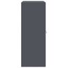 vidaXL S&auml;ilytyskaappi Antrasiitti 90 x 40 x 105 cm Ter&auml;s