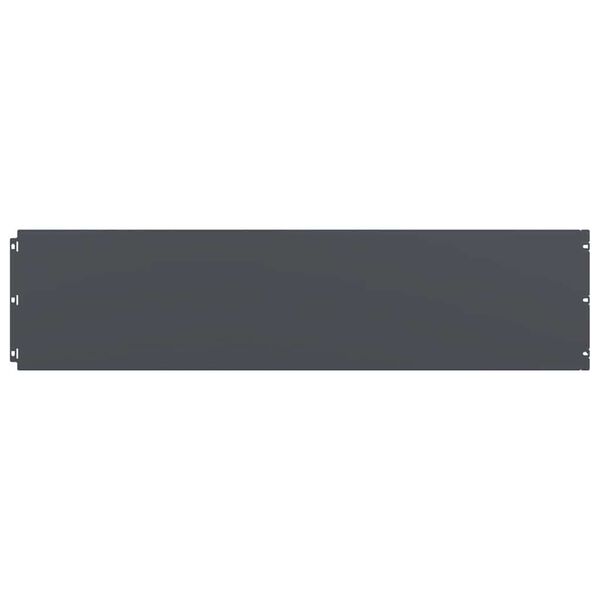 vidaXL Nurmikon reunat 20 kpl Antrasiitti Kylm&auml;valssattu ter&auml;s