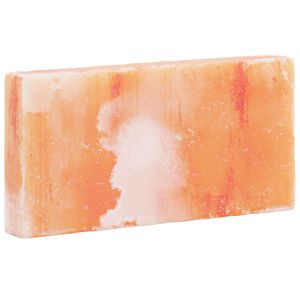 vidaXL Suolakivet 10 kpl Vaaleanpunainen 20 x 2,5 x 10 cm