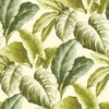 426248 DUTCH WALLCOVERINGS Wallpaper Tropical Leaves Green and White