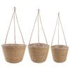 vidaXL Merihein&auml;kasvit 3 pcs Luonnollinen &Oslash;26 x 19 cm 100% Merihein&auml;