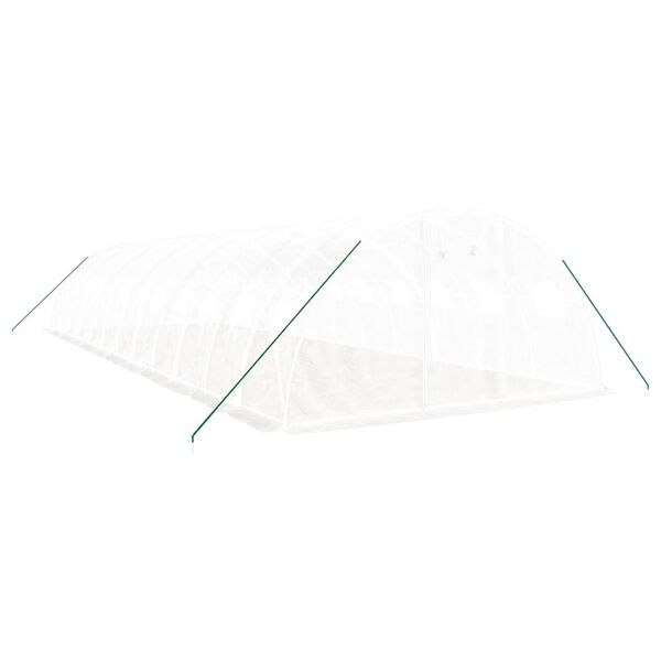 vidaXL Kasvihuone ter&auml;srungolla valkoinen 48 m&sup2; 12x4x2 m