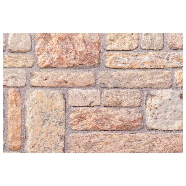 vidaXL Sein&auml;paneelit 10 pcs Vaalea ruskea ja valkoinen 100 x 50 cm