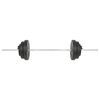 vidaXL Painonnostotanko levypainoilla 60 kg