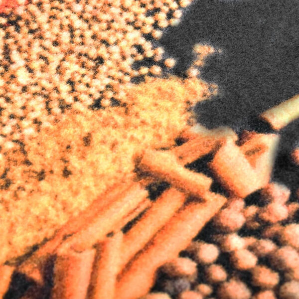 vidaXL Keittiön pestävä matto Spice 45x150 cm