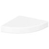 High_gloss_white