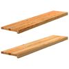 vidaXL ikkunalaudat 2 kpl vaaleanruskea 120x30x2 cm massiivipuutammea