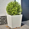 Tuotteen pikkukuva 2 / 12
