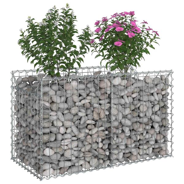 vidaXL Gabion Kohotettu Peti Hopea 100 x 50 x 60 cm Galvanoitu ter&auml;s