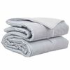 vidaXL Koko Vuoden Peitto 240 x 260 cm 300 g/m&sup2; Hopea