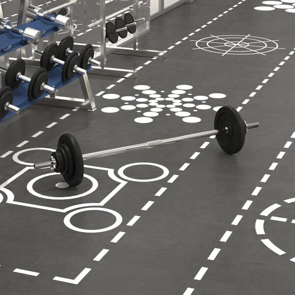 vidaXL Painonnostotanko levypainoilla 30 kg valurauta