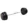 vidaXL Hauistanko levypainoilla 90 kg