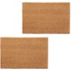 vidaXL Ovimatot 2 kpl kookoskuitu 24 mm 40x60 cm luonnollinen