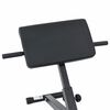 vidaXL Hyperextension penkki Musta 101 x 70 x 71 cm