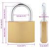 vidaXL U-lukko avaimilla 2 pcs Messinki Rauta