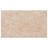 vidaXL Keitti&ouml;n ty&ouml;taso beige marmorikuvio 100x60x2,8 cm lastulevy
