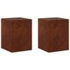 vidaXL Kasviteline 2 pcs Ruosteinen 30 x 30 x 40 cm S&auml;&auml;nkest&auml;v&auml; ter&auml;s
