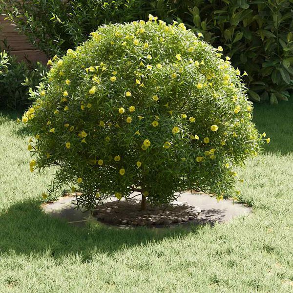 vidaXL sopiva Litteille puu renkaalle 5 pcs Hopea Ø30 / 60 cm