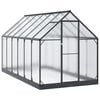 vidaXL Puutarhan Viherhuone ovella Antrasiitti 183,5 x 363,5 x 207 cm
