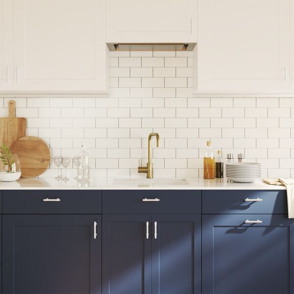 vidaXL Kaapin kahvat 20 kpl hopea 64 mm ruostumaton ter&auml;s