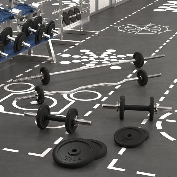 vidaXL Painonnostotanko ja k&auml;sipainosarja levyill&auml; 60 kg valurauta