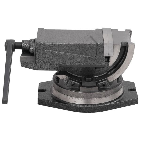 vidaXL Kaksiakselinen kallistuva ruuvipuristin 100 mm
