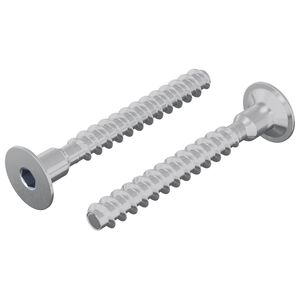 vidaXL Ruuvi 2 kpl Sinkitty 5 x 40 mm Rauta