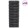 vidaXL Premium pesulaput SOLUND 50 kpl Antrasiitti 15x21 cm 600 gsm