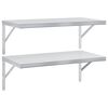 vidaXL Sein&auml;hyllyt 2 kpl 75x40 cm hopea ruostumaton ter&auml;s