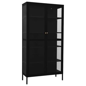 vidaXL Esittelykaappi musta 90x40x180 cm ter&auml;s/karkaistu lasi