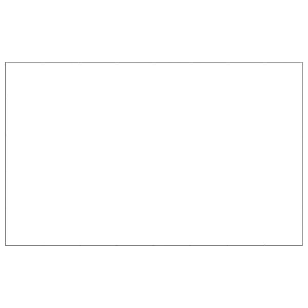 vidaXL Koiranh&auml;kki hopea 40 m&sup2; ter&auml;s