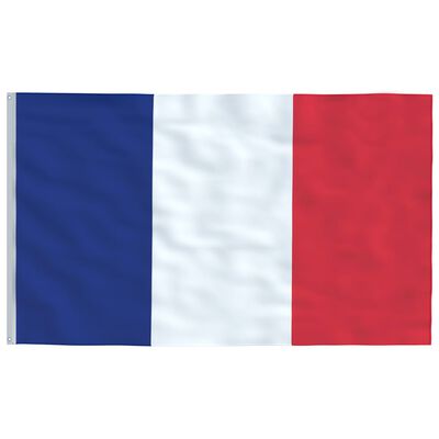 vidaXL Ranskan lippu ja tanko alumiini 6,2 m