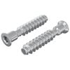 vidaXL P&auml;&auml;tykkisarja 2 kpl Hopea M7 x 40 mm Ter&auml;s