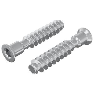 vidaXL P&auml;&auml;tykkisarja 2 kpl Hopea M7 x 40 mm Ter&auml;s
