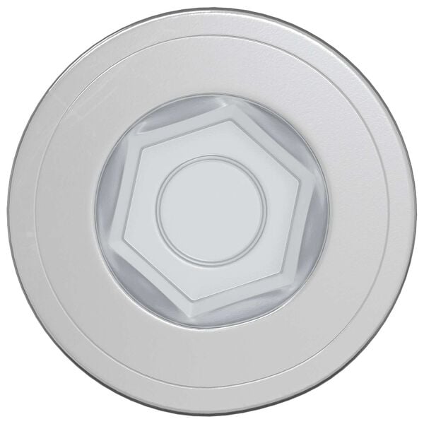 vidaXL Confirmat-ruuvit 12 pcs Hopea Metalli