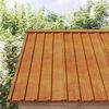 vidaXL Kattopaneelit 12 kpl ruoste 80x44 cm Corten ter&auml;s