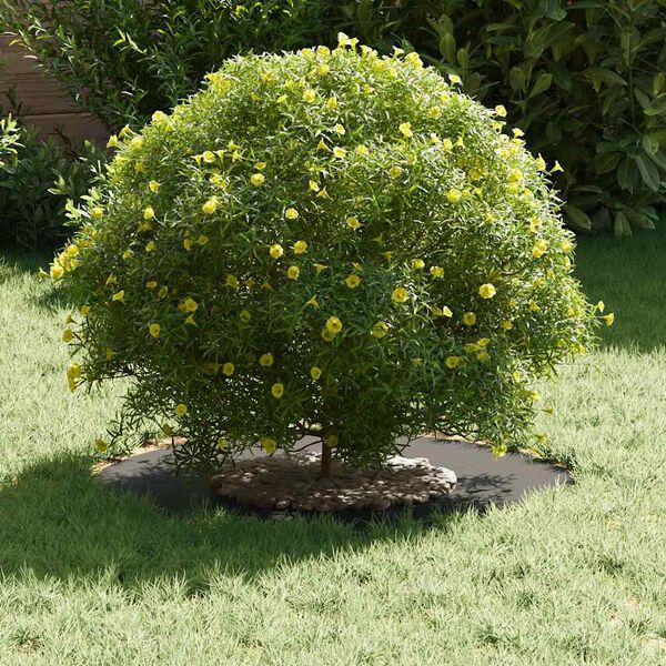 vidaXL sopiva Litteälle puu rengalle Musta Ø30 / 60 cm Teräs