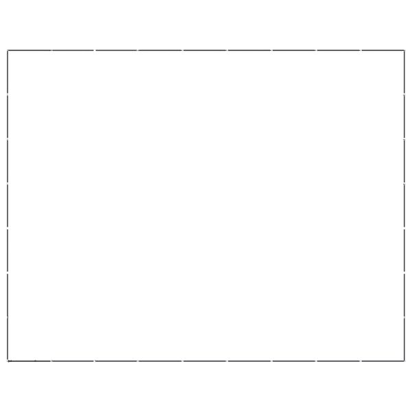 vidaXL Koiran ulkoh&auml;kki ter&auml;s 58,06 m&sup2;