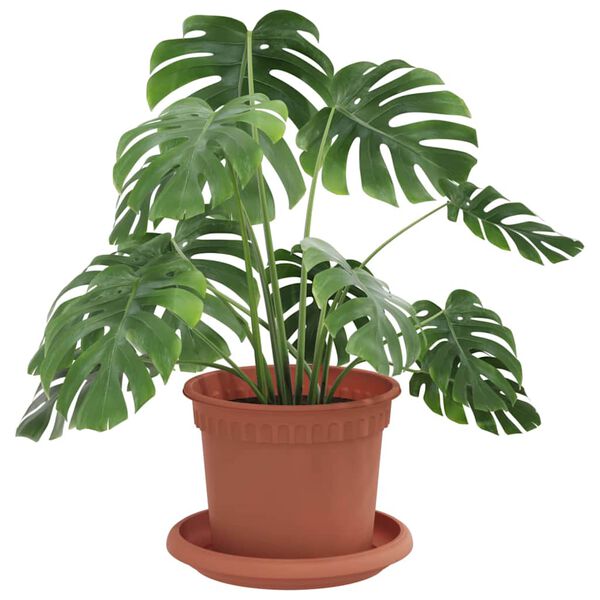 N&auml;ytet&auml;&auml;n tuotekuva 3 / 12