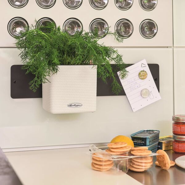 LECHUZA Kukkalaatikot 3 kpl Green Wall Home Kit valkoinen