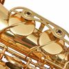 vidaXL Alttosaksofoni Keltainen Messinki Kultamaalilla Eb