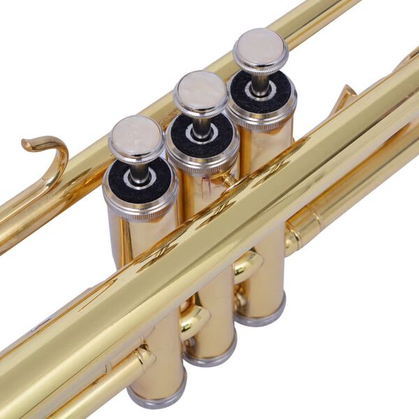 vidaXL Trumpetti Keltainen Messinki Kultamaalilla Bb