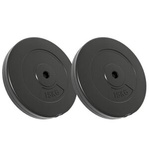 vidaXL Levypainot 2 kpl 30 kg sementti