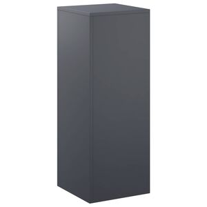 vidaXL Kasviteline Antrasiitti 30 x 30 x 80 cm Ruostumaton ter&auml;s