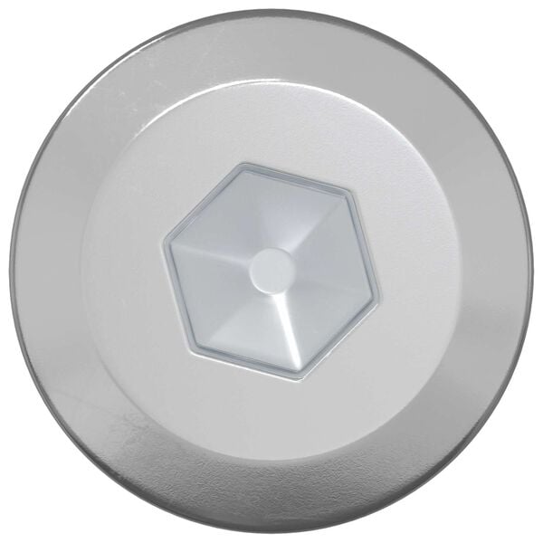 vidaXL Puuruuvit 2 pcs Hopea M6 x 70 mm Ter&auml;s