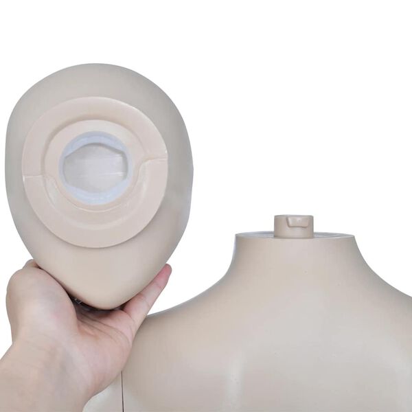 vidaXL Mallinukke nainen Pyöreä pää