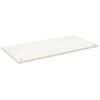 vidaXL P&ouml;yt&auml;levy valkoinen 100x50x2,5 cm t&auml;ysi m&auml;nty